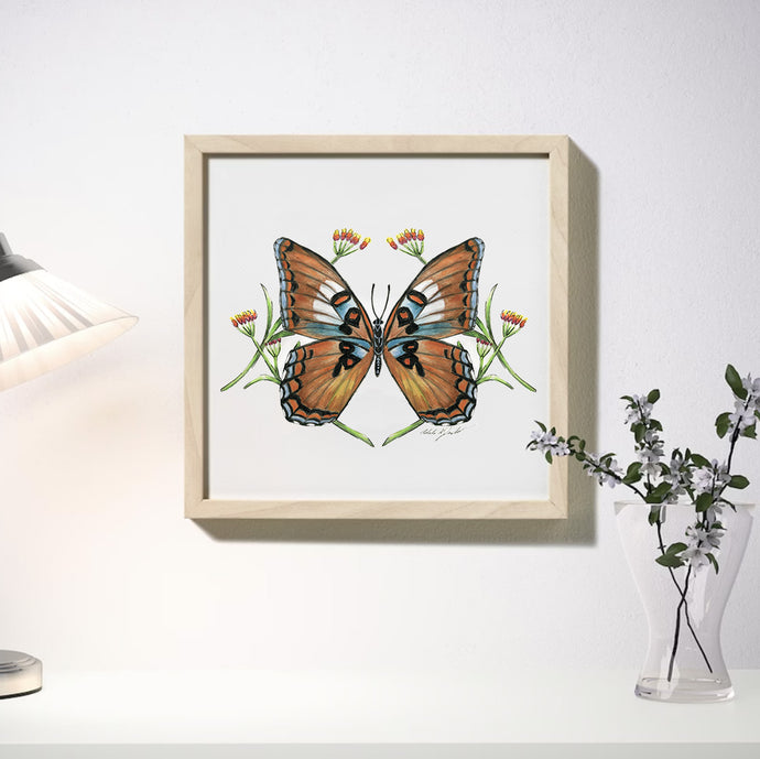 White Admiral Butterfly Print