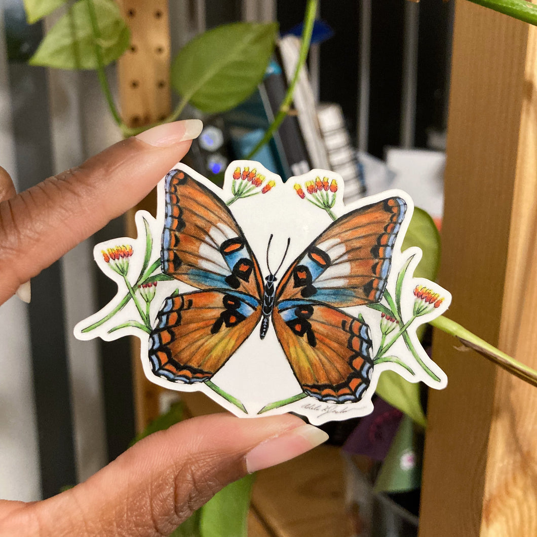 White Admiral Butterfly Sticker