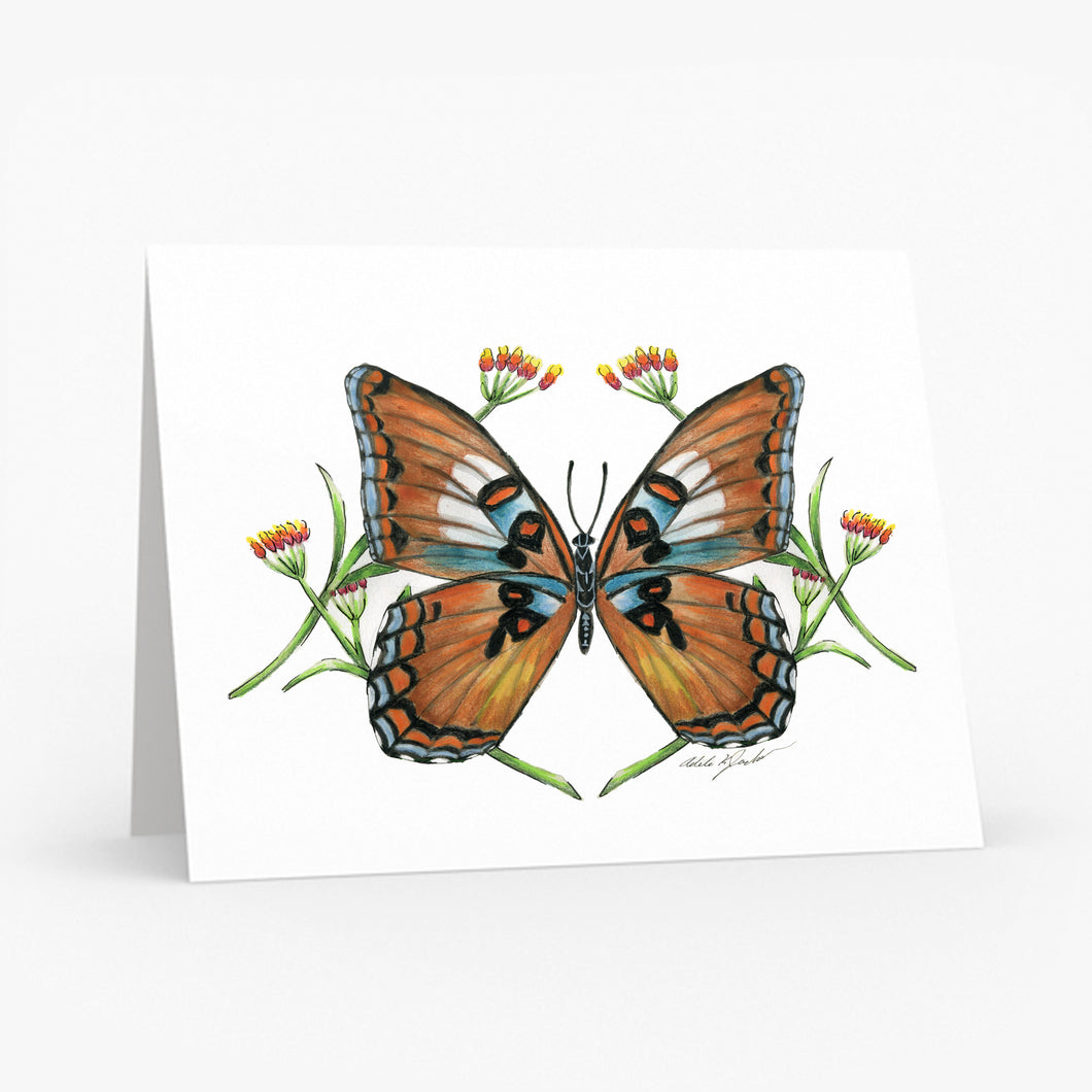 White Admiral Butterfly Greeting Card
