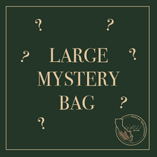 Large Mystery Bag