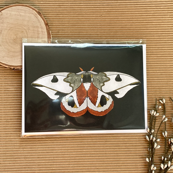 Handle with Care “Moth Greeting Card”