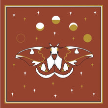 “Handle with Care” Moth Silk Scarf